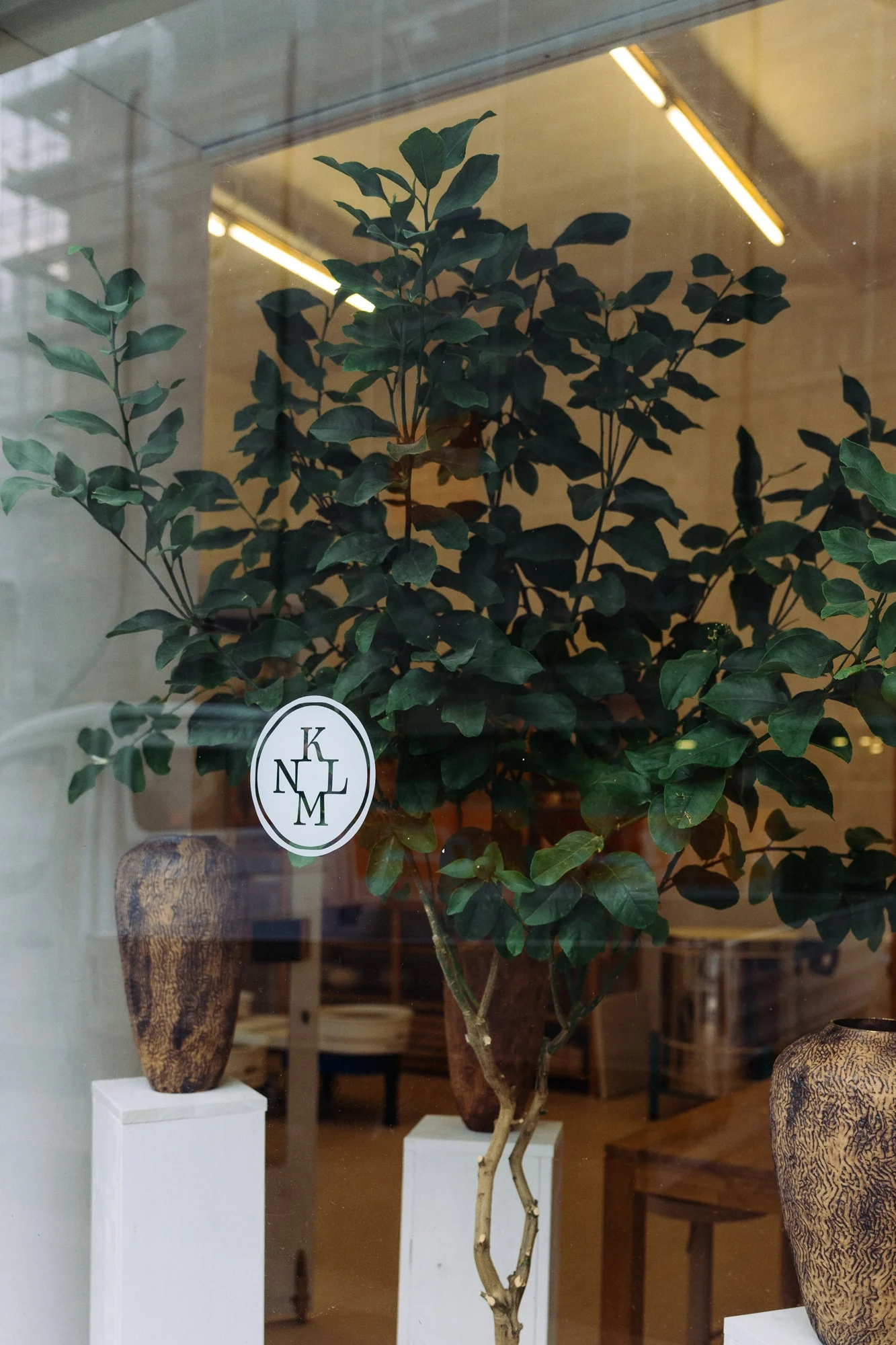 & Many Plants